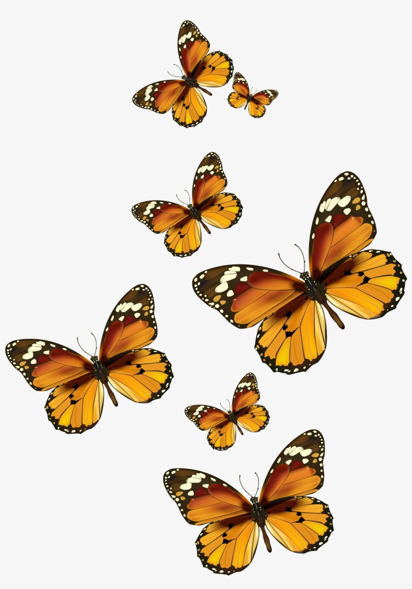 Butterflies Vector Png Clipart Pictureu200b Gallery - Transparent Background Monarch Butterfly Clipart, transparent png #331556