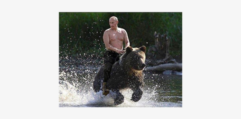 Thumb Image - Putin And A Bear, transparent png #331602