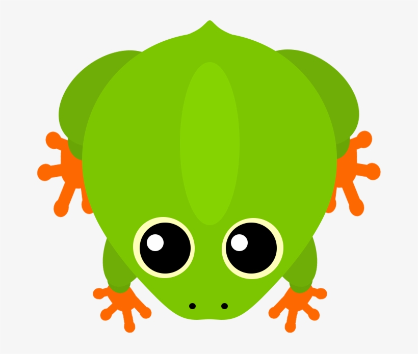 Frog, transparent png #332135