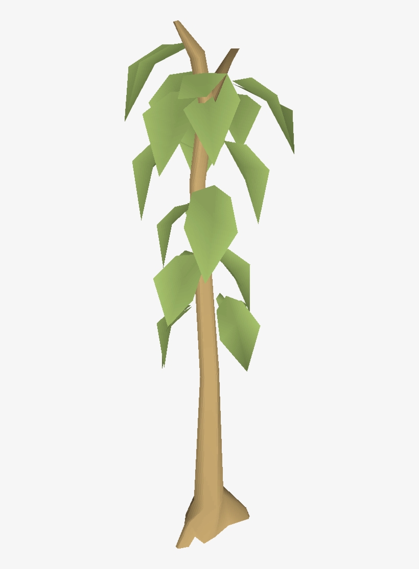 Teak Tree - Teak Tree Osrs, transparent png #332265