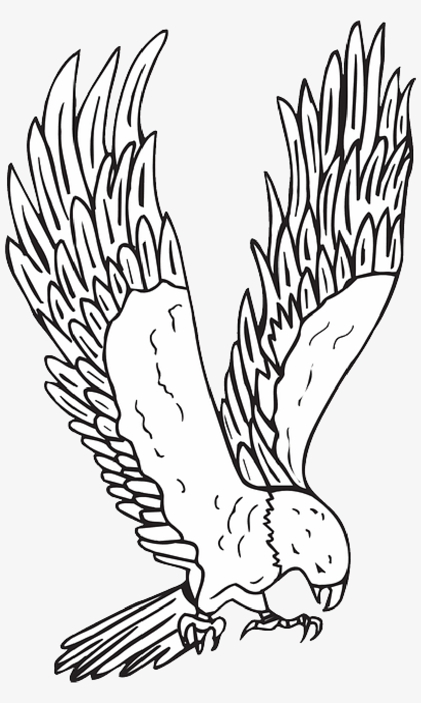 Mb Image/png - Hawk Clipart Black And White, transparent png #332292