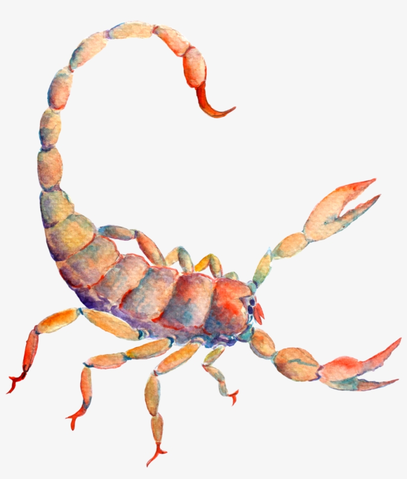 9-1 - Astrological Sign, transparent png #332440