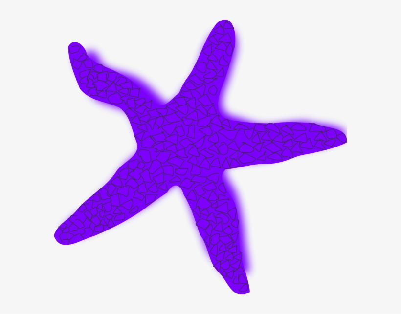 Starfish Illustrations And Clipart 1 Starfish Free - Estrellas De Mar Roja, transparent png #333069