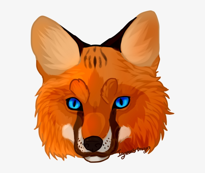 Download Svg Freeuse Stock Fox Face Clipart Clip Art Free Transparent Png Download Pngkey