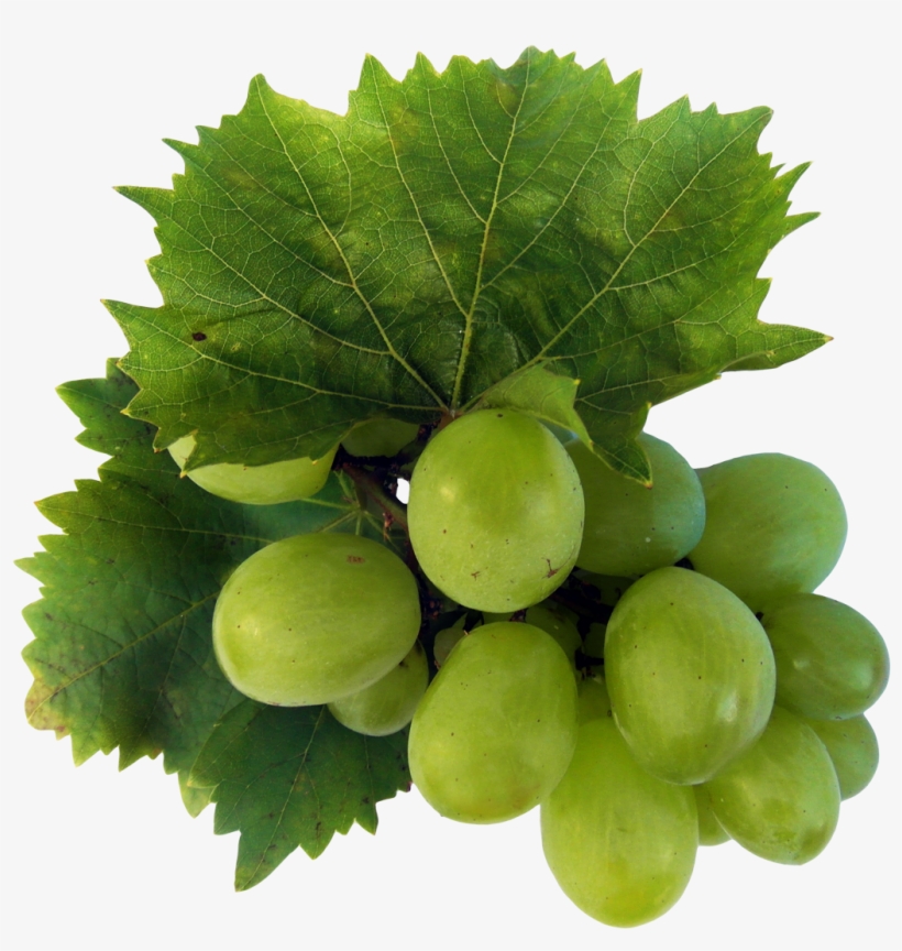 Tartaric Acid In Food, transparent png #333169