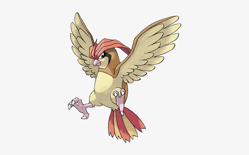 Pidgeotto - Pokemon Pidgeotto, transparent png #333278
