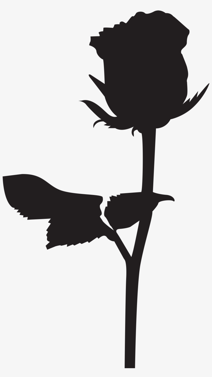 15 Beauty And The Beast Silhouette Png For Free Download - Silhouette Of A Rose, transparent png #334246