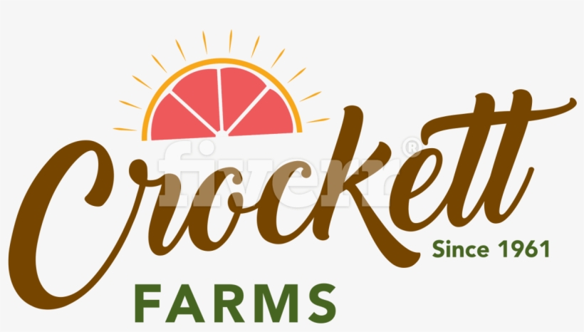 World Of Art - Broché, transparent png #334591