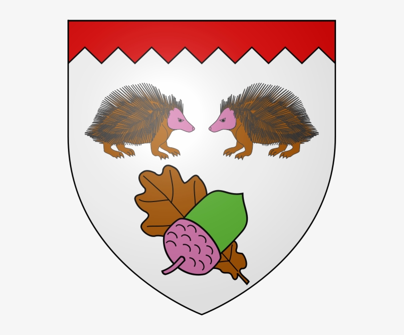 Drawn Hedgehog French - Cartoon, transparent png #334781