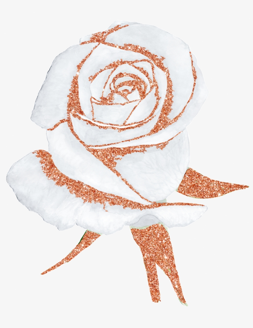 Hand Painted A White Rose Png Transparent Free Download - Portable Network Graphics, transparent png #334968