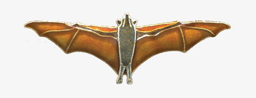 Fruit Bat Pin, transparent png #335422