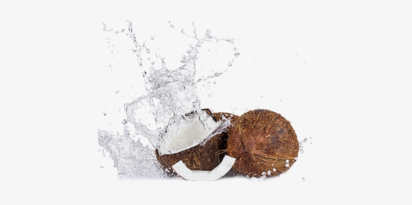 Cococraze Is An Infusion Between Malaysian And Indonesian - Water, transparent png #335463