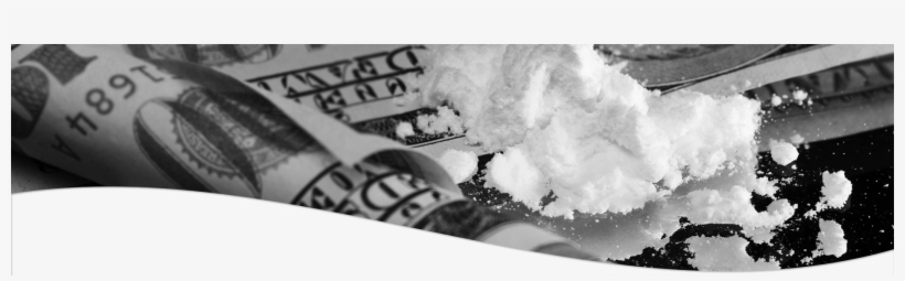 10 Things You Need To Know About Cocaine - Green Money, transparent png #335743