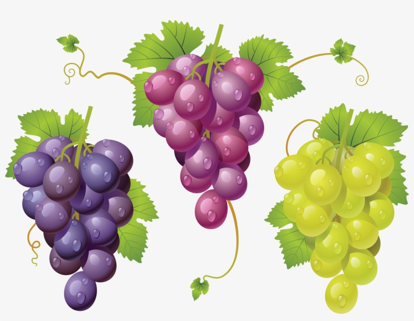 Grapes Png, transparent png #336012