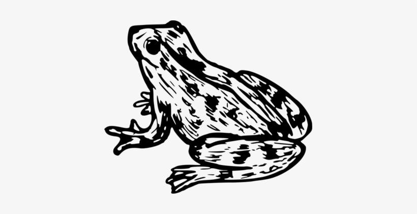 Dog Frog Jumping Contest Toad Amphibian - Clip Art, transparent png #336128