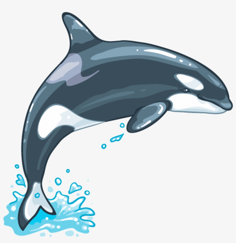 Killer Whale Png File - Killer Whale Png, transparent png #336346