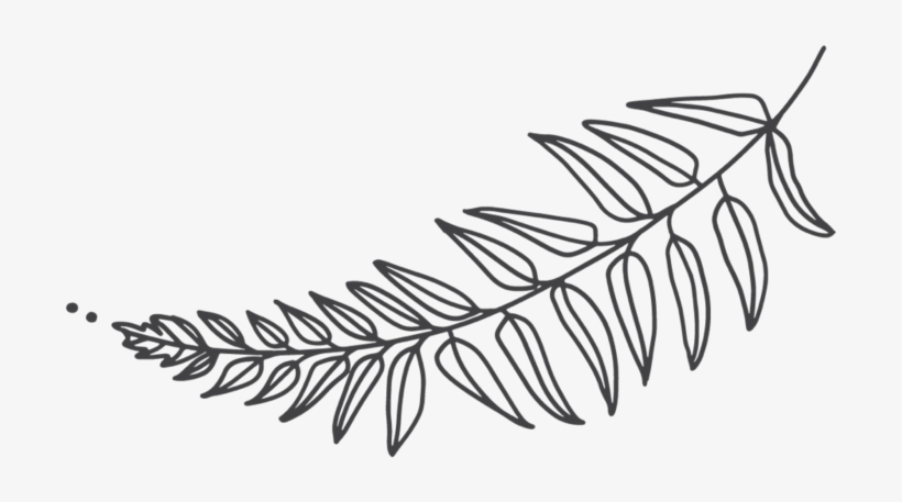 Fern-2, transparent png #336435