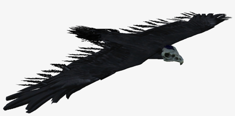 Skyrim Bone Hawk, transparent png #336531