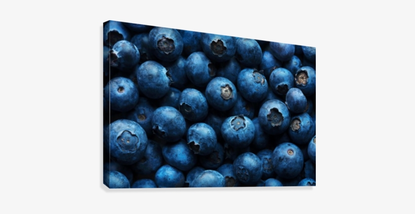 Blueberries Background Close-up Canvas Print - Blueberries Background, transparent png #337013
