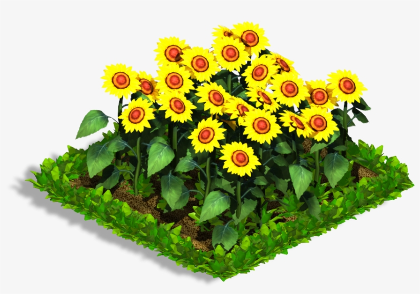 Sunflower - Indian Blanket, transparent png #337262