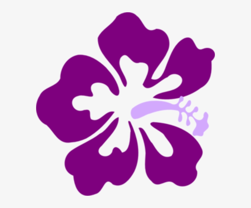 Width Of This Illustration Is 582 Pixels - Hibiscus Clip Art, transparent png #337324