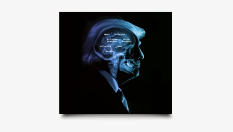 #267 / Who Decides - Mental Fitness, transparent png #338000