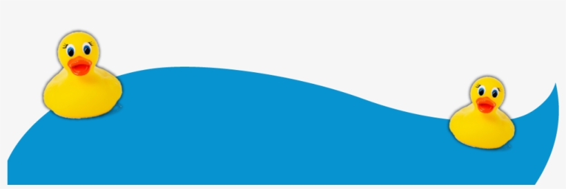 Adopt A Duck, transparent png #338101
