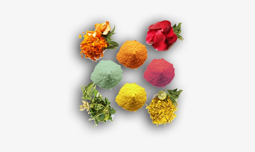 Colors Of Holi - Garden Roses, transparent png #338299