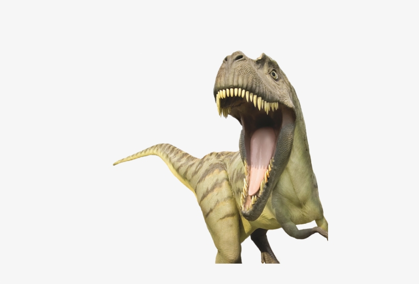 Dinosaur, transparent png #338324