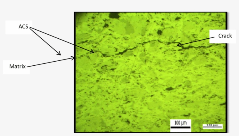 The Regime Of The Crack E - Grass, transparent png #339179
