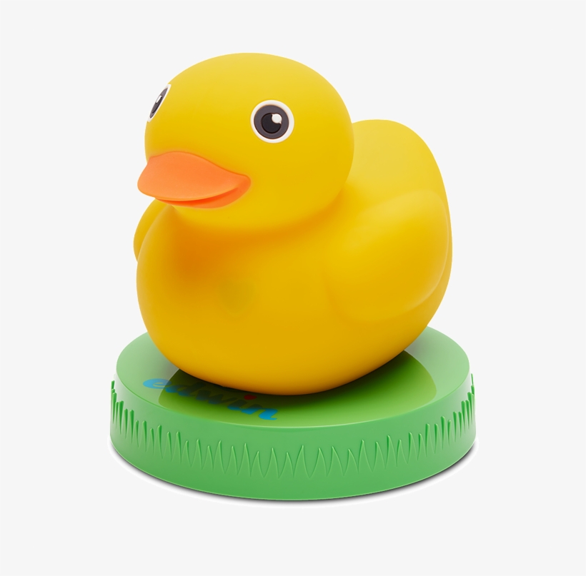 Edvin-duck - Product, transparent png #339430