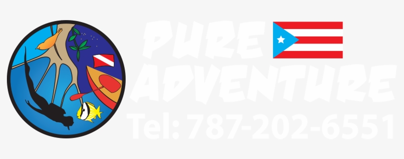 Logo - Emblem, transparent png #339749