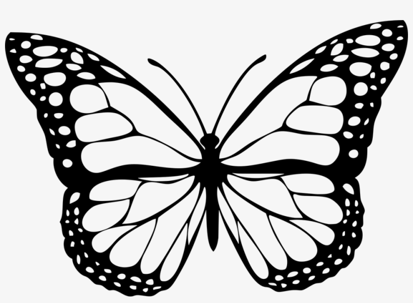 Swallowtail Butterfly Insect Image File Formats Monarch - Kupu Kupu Hitam Putih, transparent png #339817