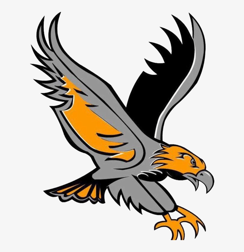 River Hawk Logo - Hawk Logo, transparent png #3300324