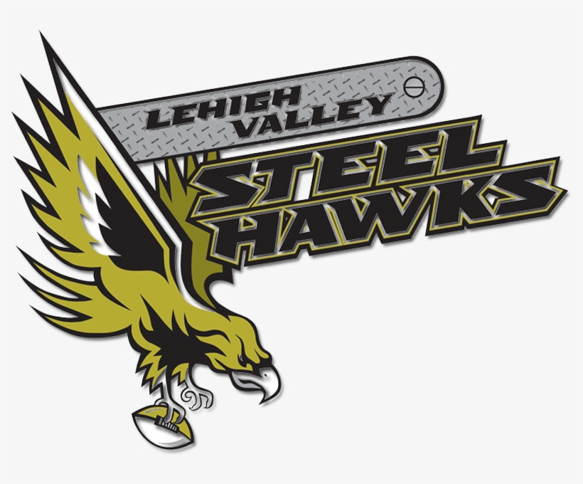 Steelhawks Owners To Put Team Up For Sale - Lehigh Valley Steelhawks Logo, transparent png #3300474
