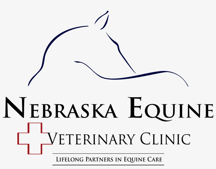 Nebraska Equine Veterinary Clinic Logo - Errazuriz, transparent png #3300595