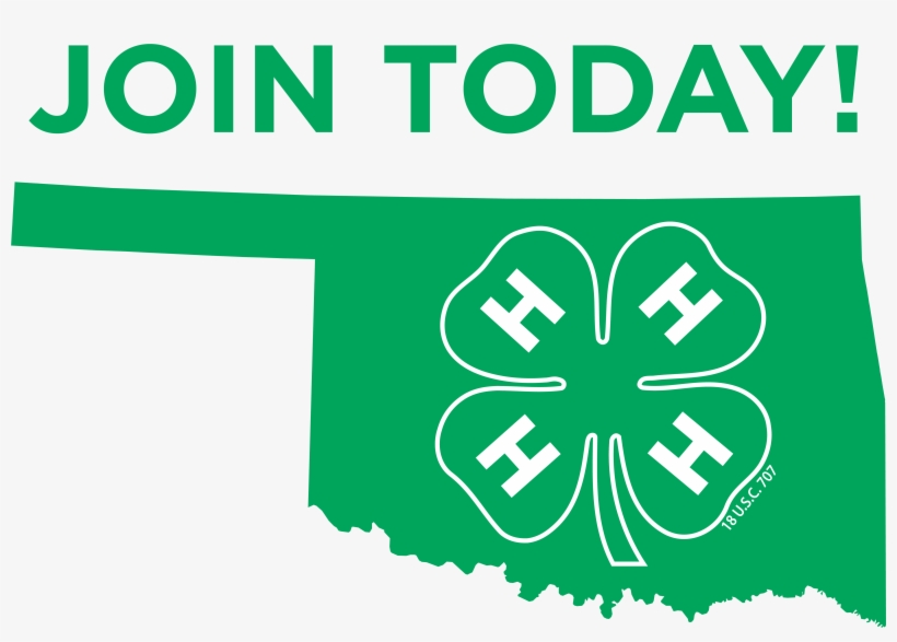 T Shirt Design 4h, transparent png #3301761