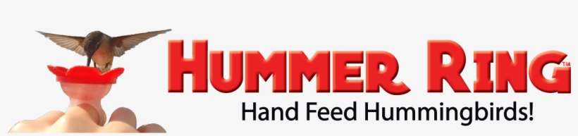 Hand Feeding Humming Birds - Miniblossom Hummingbird Feeder Stake, transparent png #3302834