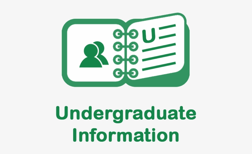 Staff - Book, transparent png #3302903