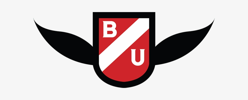 I Play Quidditch A Sport Adapted From The Game Played - Graphic Design, transparent png #3303346