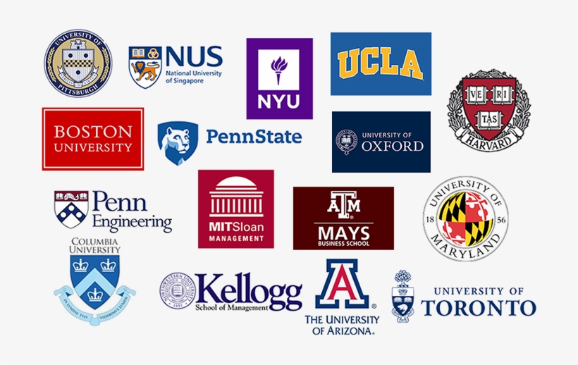 Social Share - University Of Maryland Fan T Shirt, transparent png #3303634