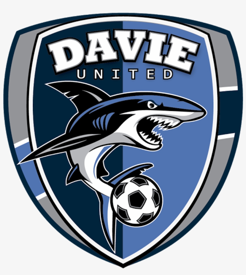 Davie United - Sharks Logo Club, transparent png #3303880