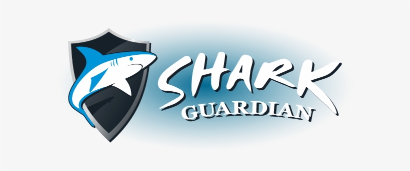 Sea Gypsy Divers Is Proud To Support Non-profit Charity - Shark Charity, transparent png #3304151