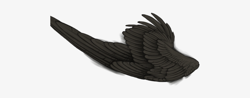 Vulture, transparent png #3305295