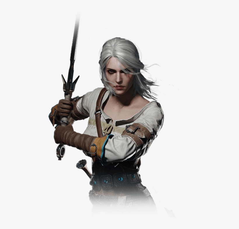 At One Point, Geralt Demanded The Unborn Child Of Princess - Notebook Journal : The Witcher: Pocket Notebook Journal, transparent png #3306019