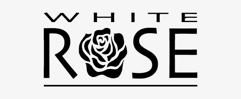 White Rose, transparent png #3306381
