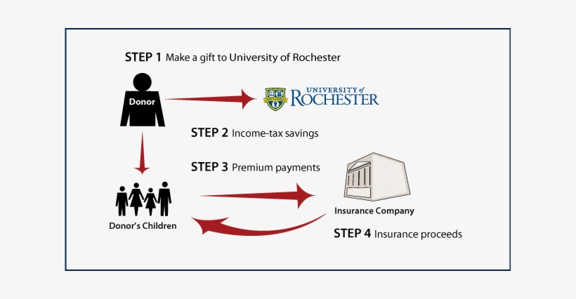 Life Insurance To Replace Gift - University Of Rochester, transparent png #3309460