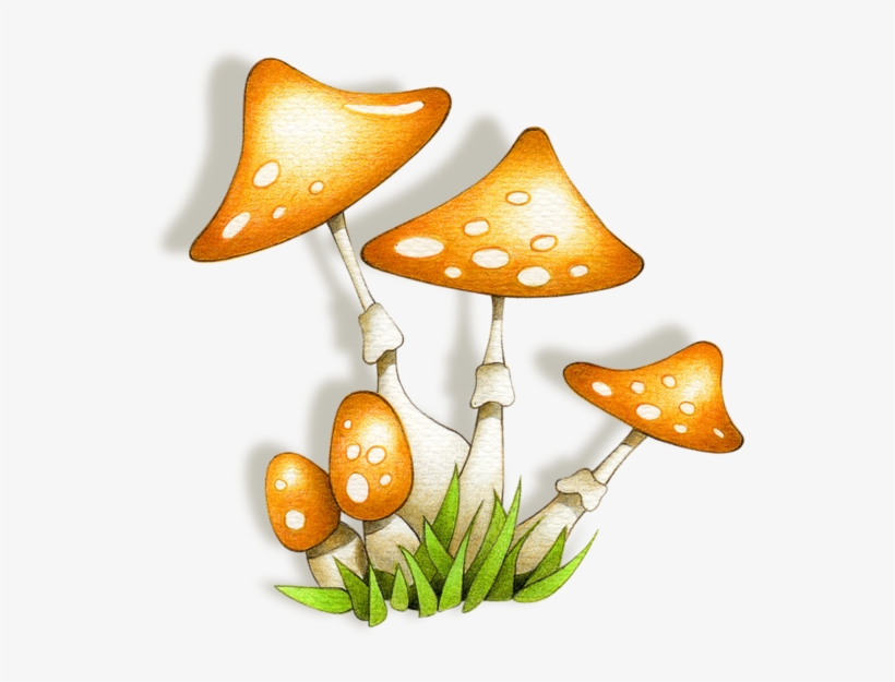 Buscar Con Google - Stuffed Mushrooms, transparent png #3310615