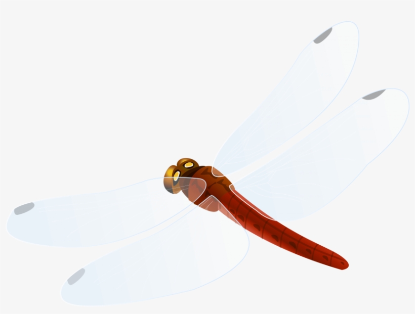 Free Png Red Dragonfly Png Images Transparent - Portable Network Graphics, transparent png #3313490