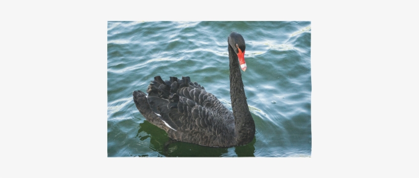 Peaceful Black Swan Cotton Linen Wall Tapestry - The Black Swan, transparent png #3313739